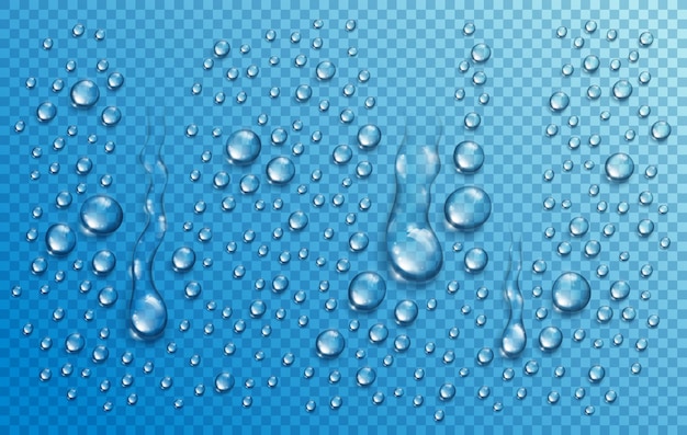 Water rain drops or condensation in shower realistic transparent 3d vector composition over transparency checker grid, easy to put over any background or use droplets separately.