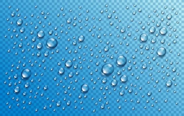 Vector water rain drops or condensation in shower realistic transparent 3d vector composition over transparency checker grid, easy to put over any background or use droplets separately.