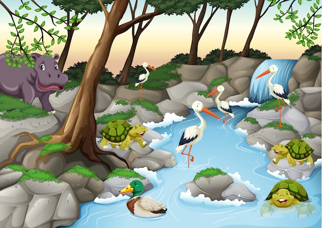 Water scene with many wild animals