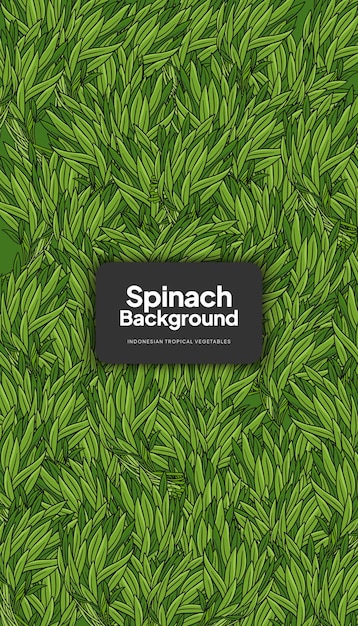 Water spinach illustration tropical vegetable background design template