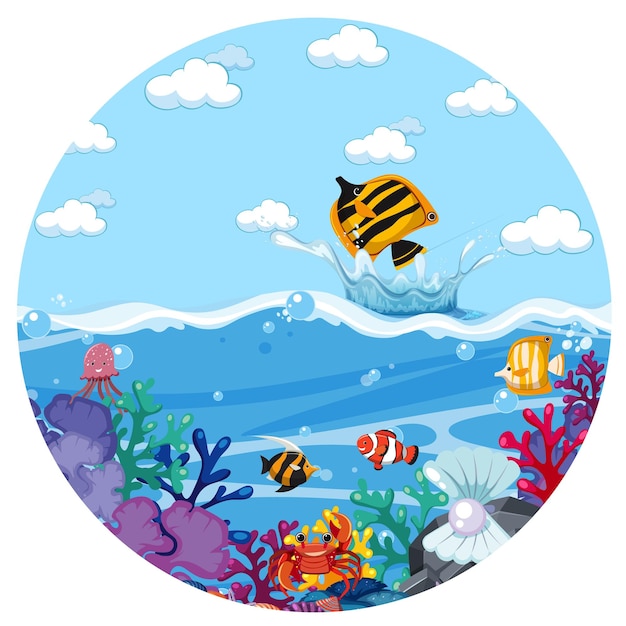 A water splash scene with fish on white background