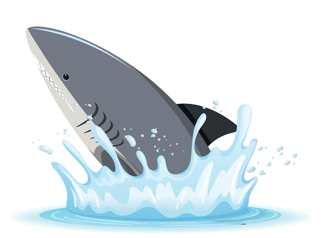 A water splash with shark on white background