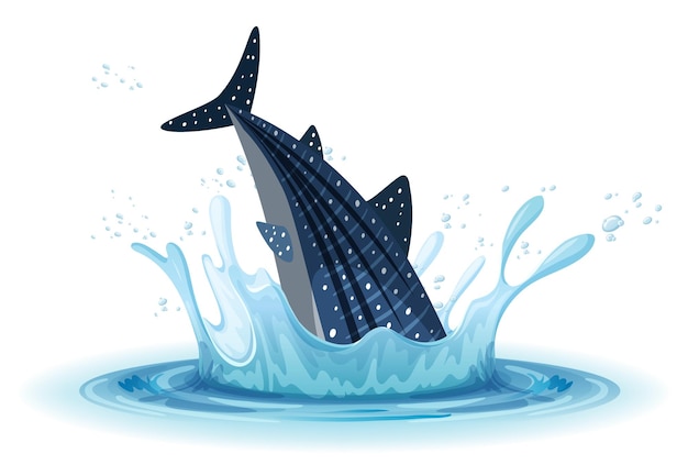 A water splash with whale on white background