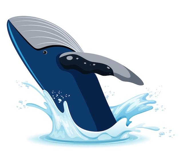 A water splash with whale on white background