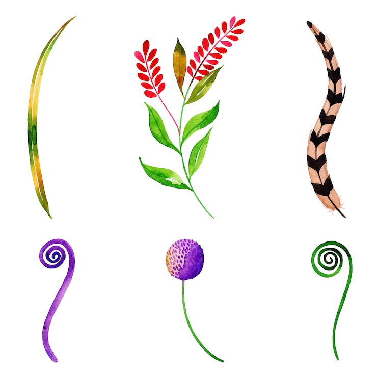 Vector watercolor animals collection