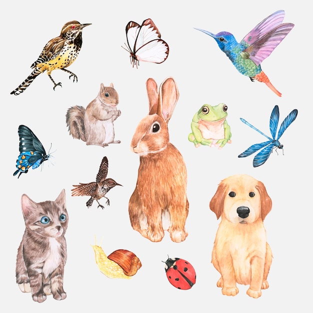 Vector watercolor animals and insects vector sticker set