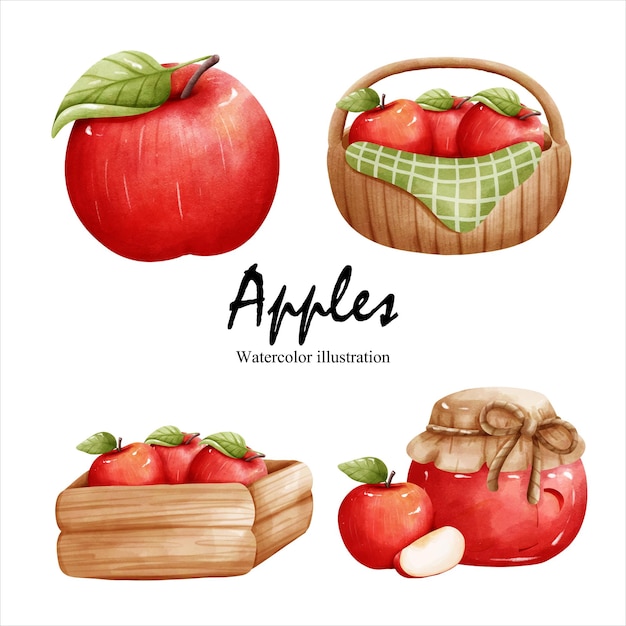 Watercolor apples fruit vector illustration