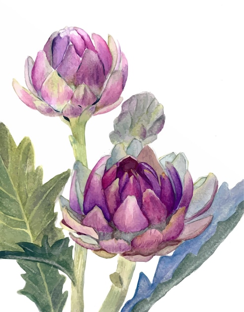 Watercolor artichoke print