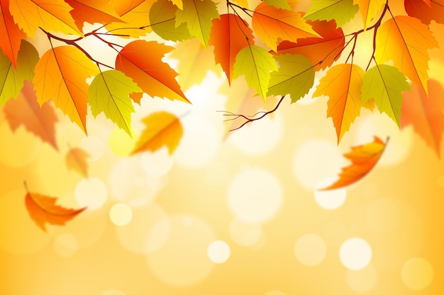 Vector watercolor autumn background