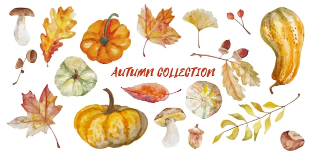 Watercolor autumn collection pumpkins, leaves, mushrooms - elements isolated on white