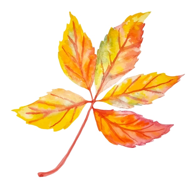 水彩画の秋のカラフルな葉の枝のクリップアートを白で隔離