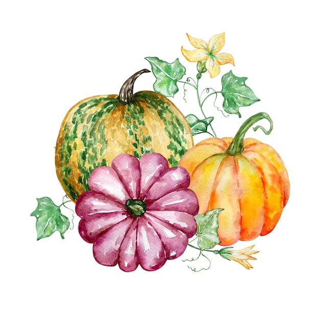 Watercolor autumn composition with yellow and pink pumpkin and a branch with yellow flowers. Illustration for invitations, typography, print and other designs.