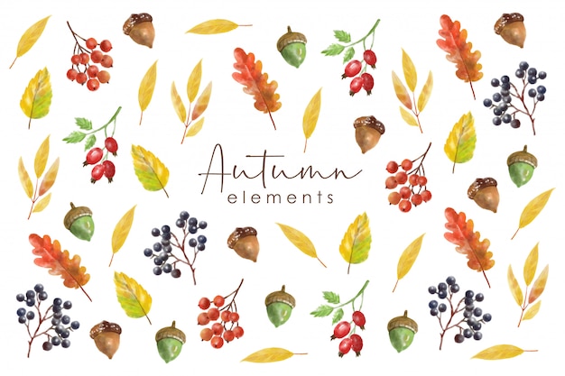 Watercolor autumn elements set, forest collection object, colored leaves, berry, nuts, mushroom and pumpkin, watercolor effect