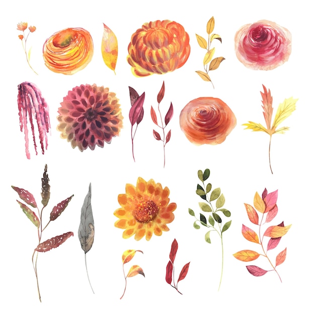 Watercolor autumn flowers, leaves and branches set, fall floral clipart