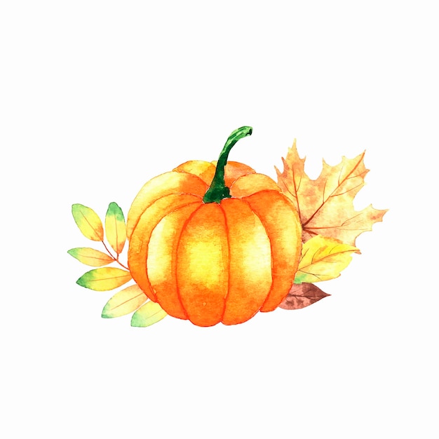 Watercolor autumn illustration of pumpkin and leaves