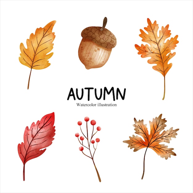 Watercolor autumn leaf autumn season vector illustration