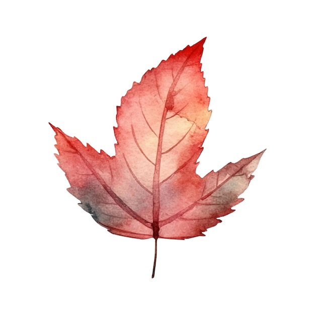 Вектор Акварельная иллюстрация осенних листьев
