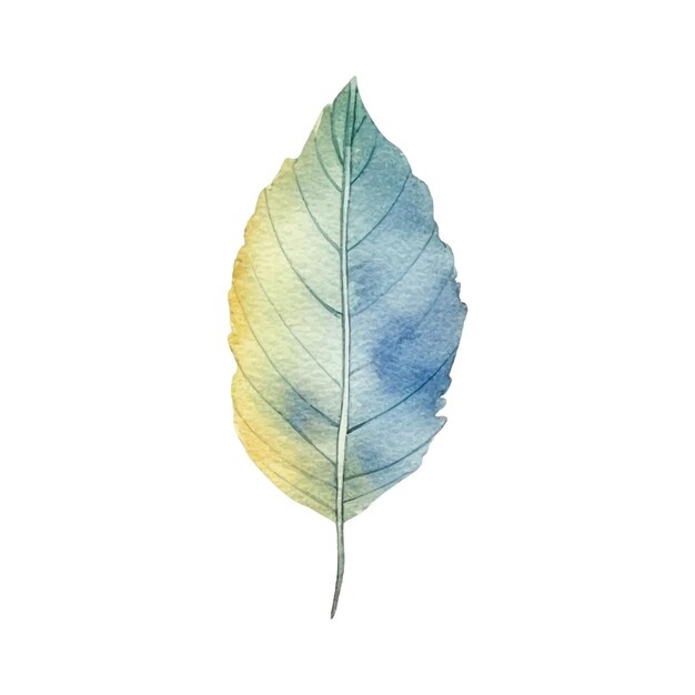 Watercolor autumn leaf illustration