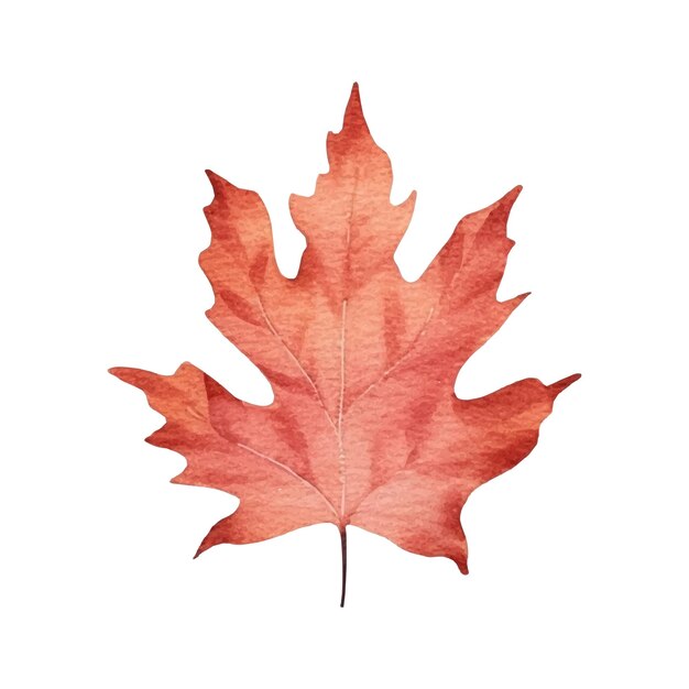 Watercolor autumn leaf illustration