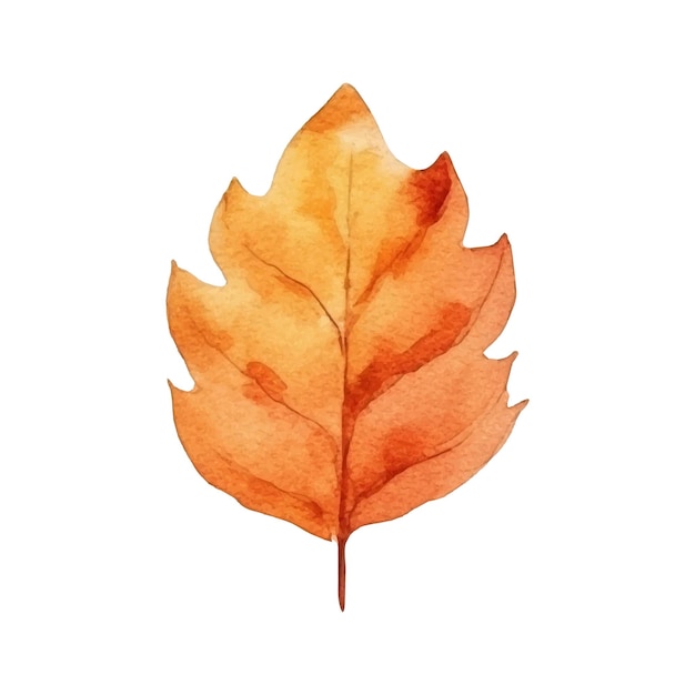 Watercolor autumn leaf illustration