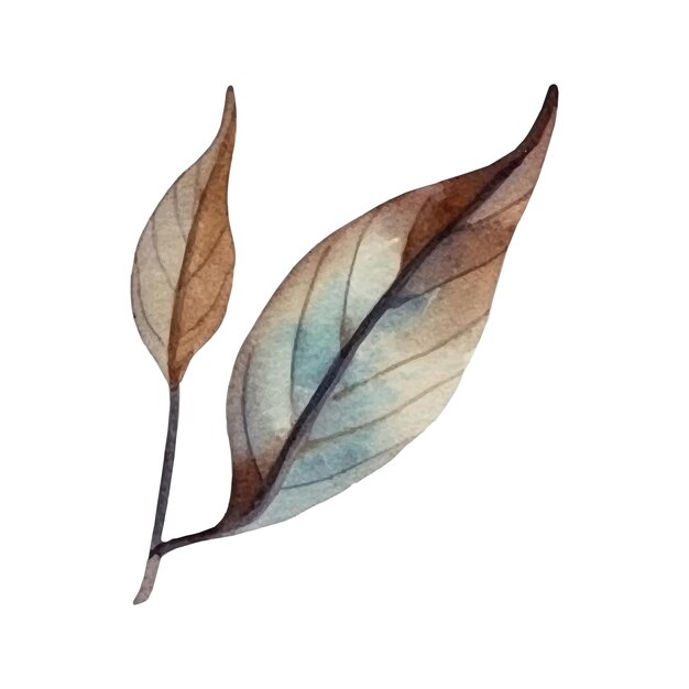 Watercolor autumn leaf illustration