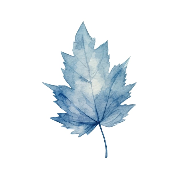 Watercolor autumn leaf illustration