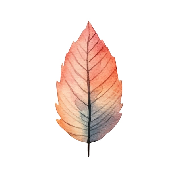 Watercolor autumn leaf illustration