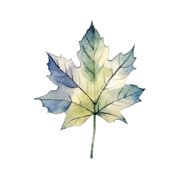 Watercolor autumn leaf illustration