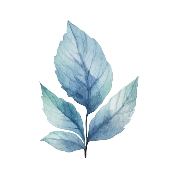 Watercolor autumn leaf illustration