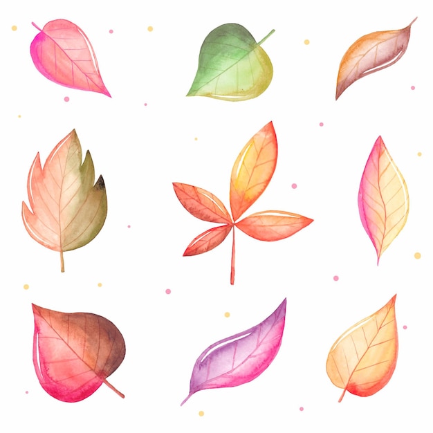 Vector watercolor autumn leaves collection