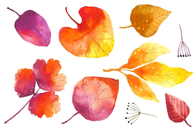 Watercolor autumn leaves collection