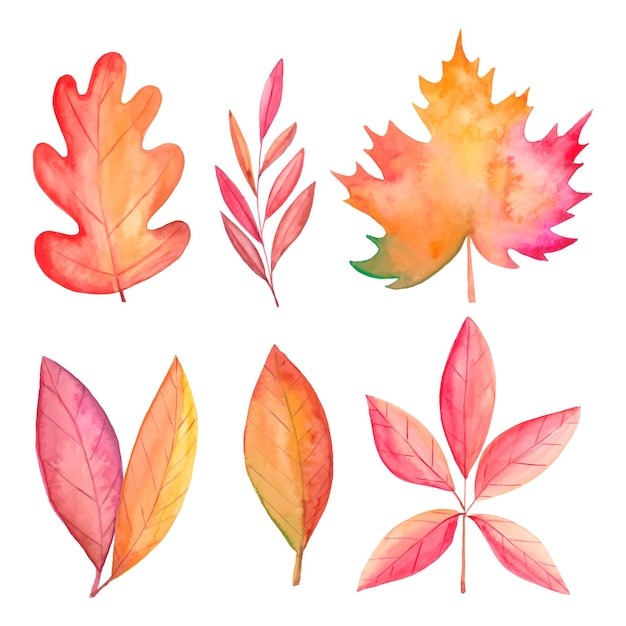 Вектор Коллекция акварельных осенних листьев