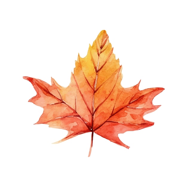 Watercolor Autumn Leaves