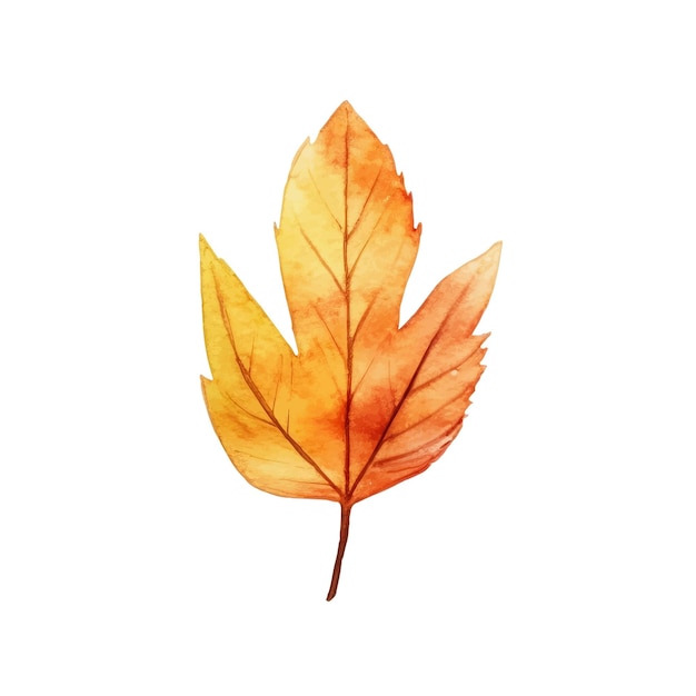 Watercolor Autumn Leaves