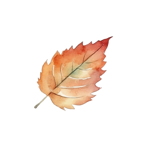 Watercolor Autumn Leaves