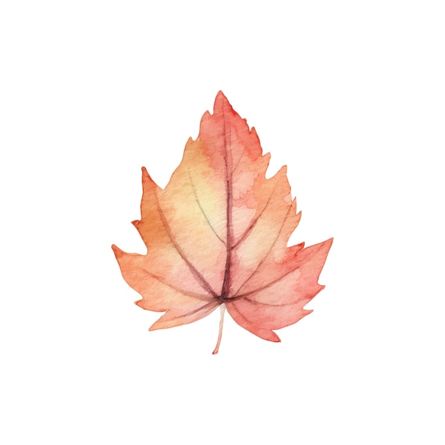 Watercolor Autumn Leaves