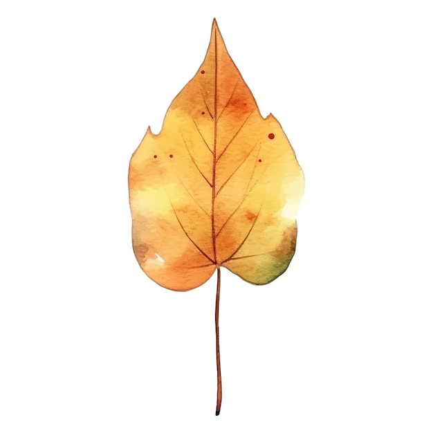 Watercolor Autumn Leaves