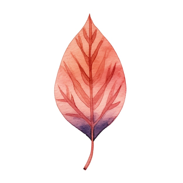 Watercolor Autumn Leaves