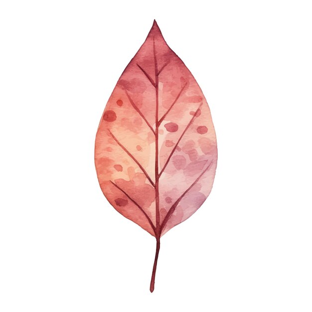 Vector watercolor autumn leaves