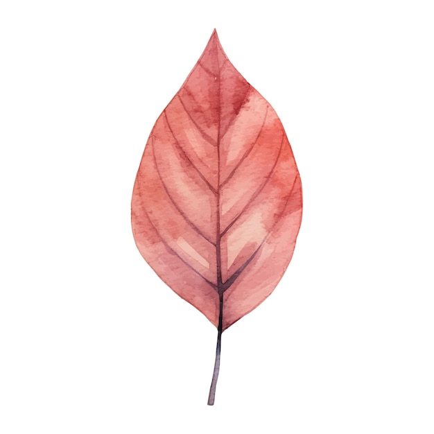 Watercolor Autumn Leaves