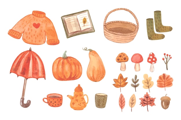 Watercolor autumn orange warm elements Vector illustration Big fall items set