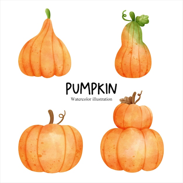 Watercolor autumn pumpkin fall season vector illustration