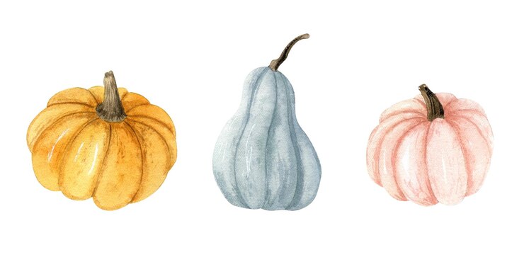 Watercolor autumn pumpkin set