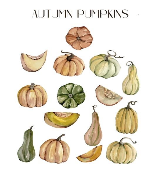 watercolor autumn pumpkins clipart illustration