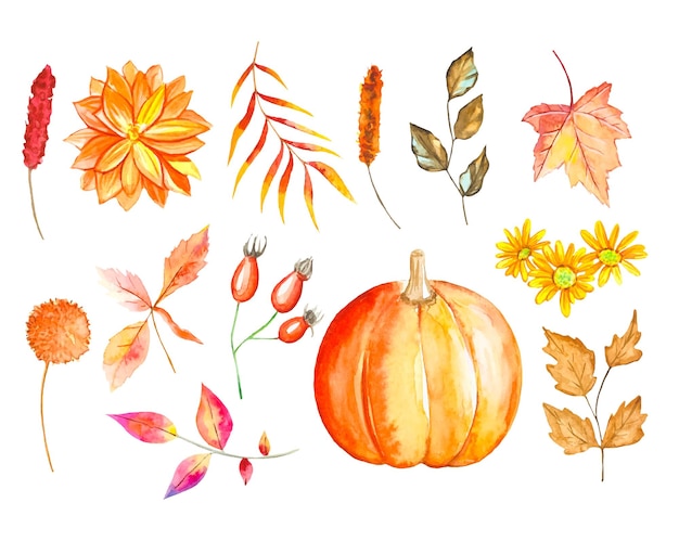 Vector watercolor autumn set of leaves flowers branches and pumpkin