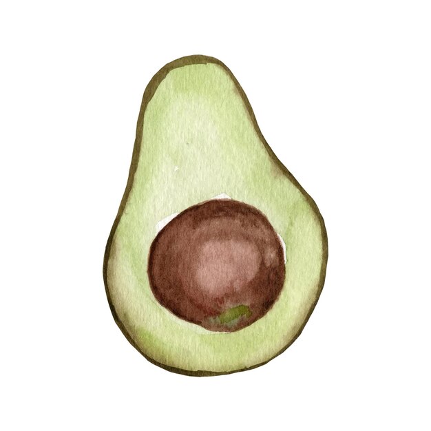 Watercolor avocado Hand drawn organic green avocado slice