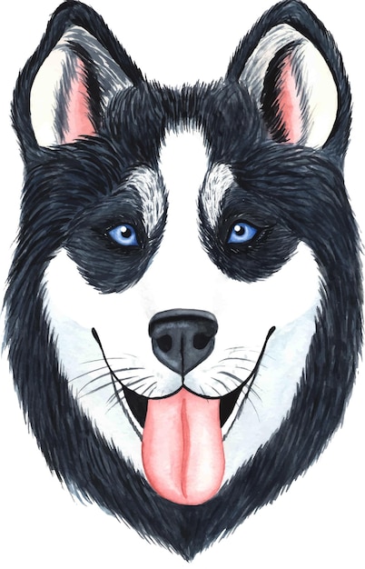 Watercolor back husky illustration Cute watercolor dog