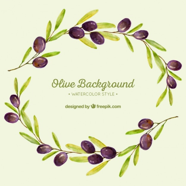 Vector watercolor background of olive branches