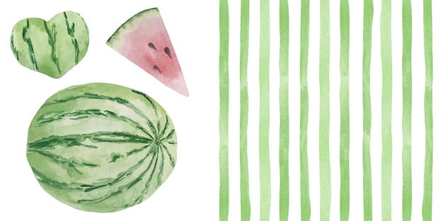 녹색 스트립과 전체 둥근 수박이 있는 수채화 배경 과일이 있는 여름 배경