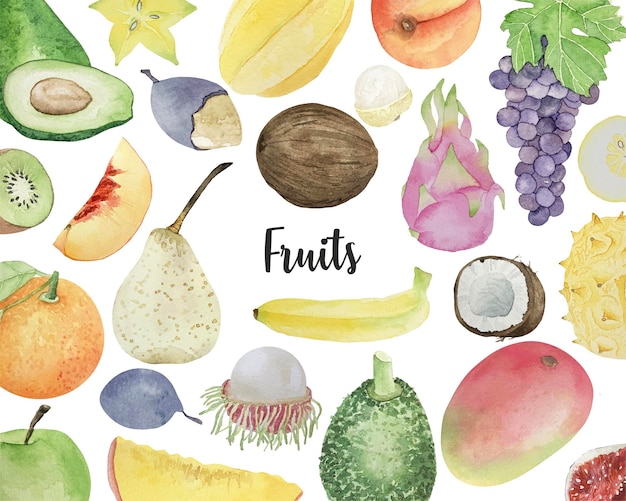 Watercolor background with various fruits concept of healthy eating food background frame of fruits